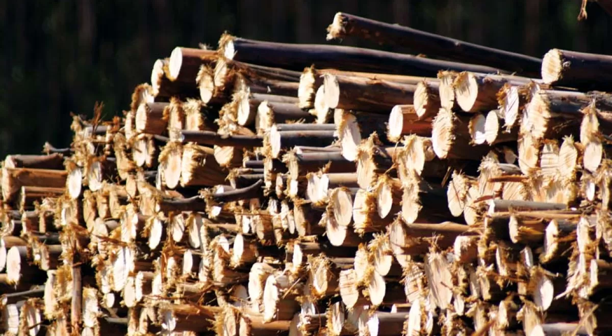 Estrategia de Impulso a la Biomasa en Galicia