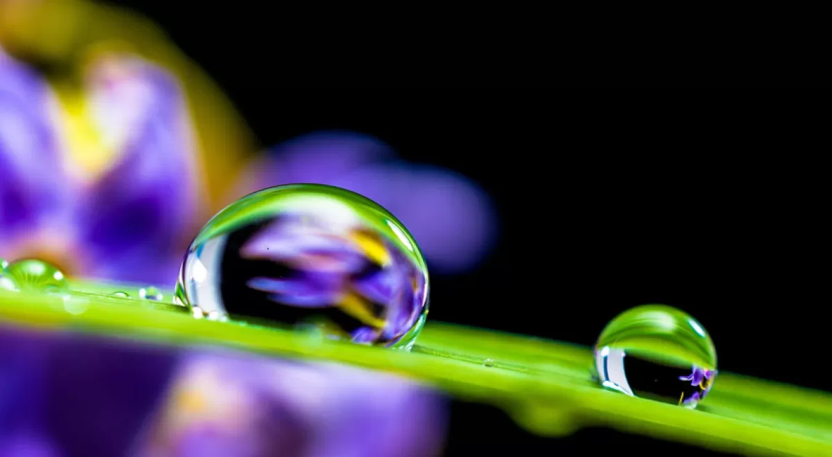 Economía del agua, o la necesidad de poner la ciencia en contexto