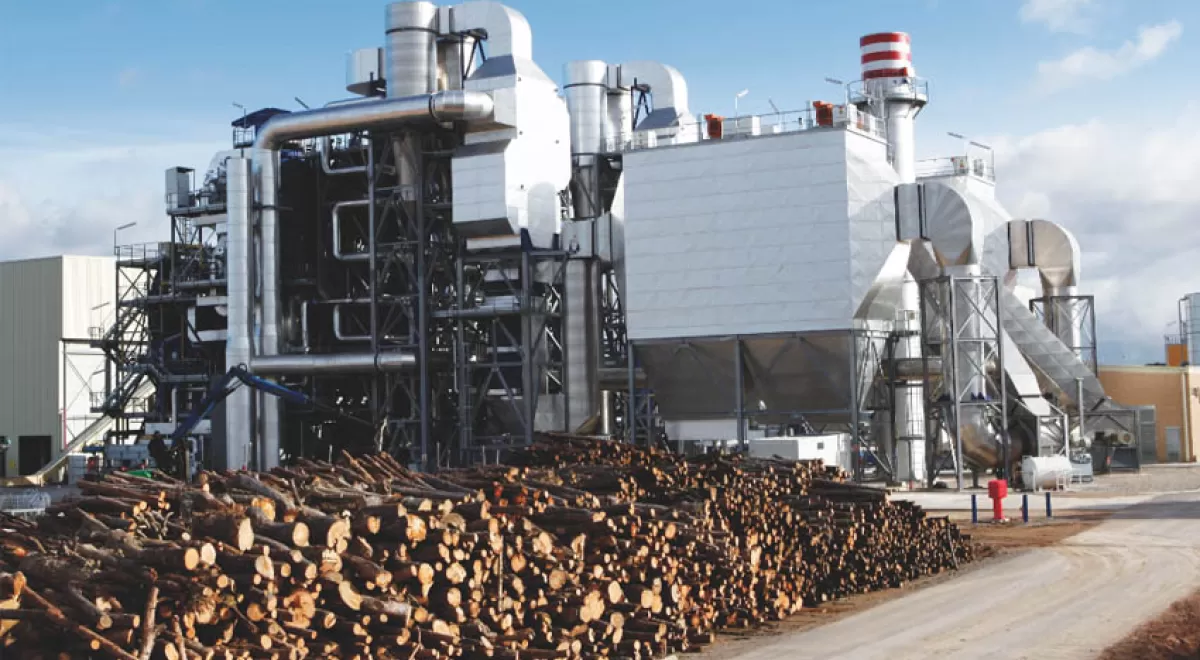 APPA denuncia que los requisitos de la subasta de biomasa han distorsionado el resultado