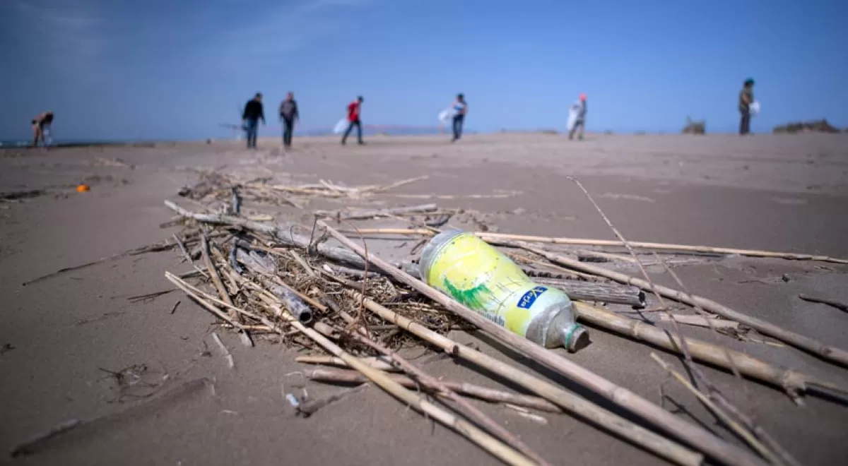 Técnicos del Parque Natural del Delta del Ebro recogen 31,3 kilos de basura marina en la playa del Serrallo