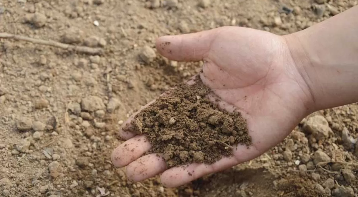 Eurecat participa en un proceso de compra pública para avanzar en la descontaminación de suelos