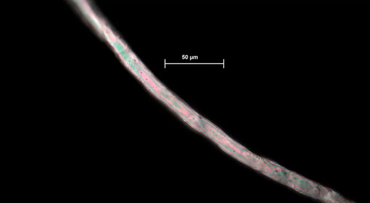 Microfibras textiles en los fondos marinos de los mares del sur de Europa