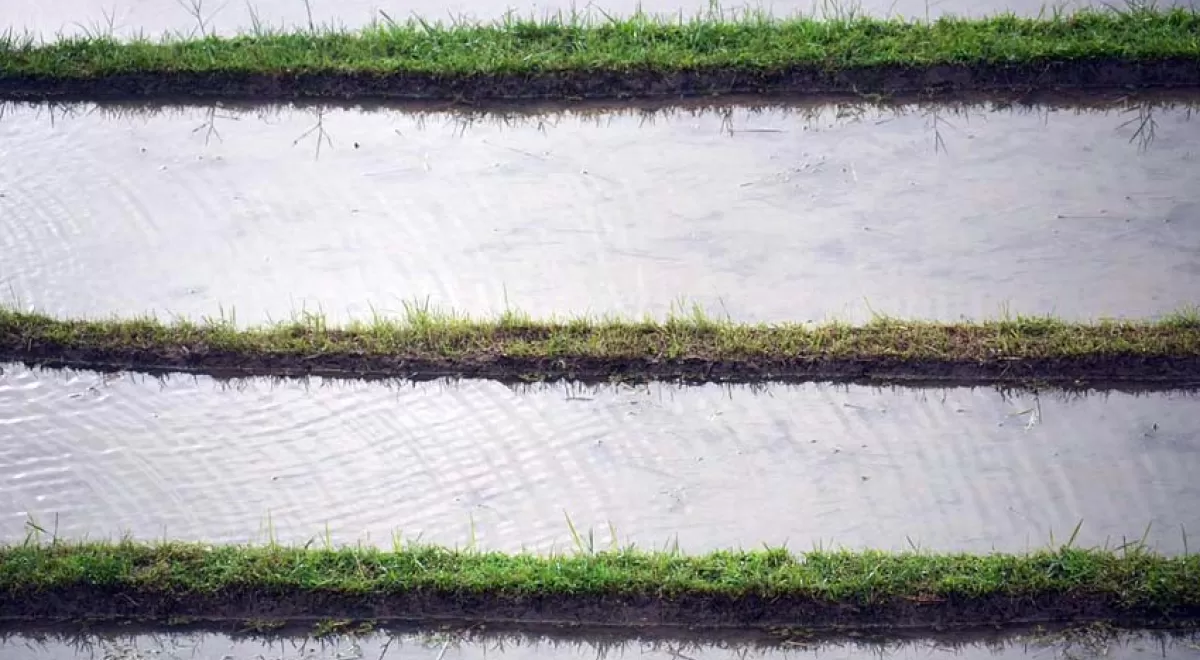 Europa propone nuevas normas para estimular la reutilización de agua para riego agrícola