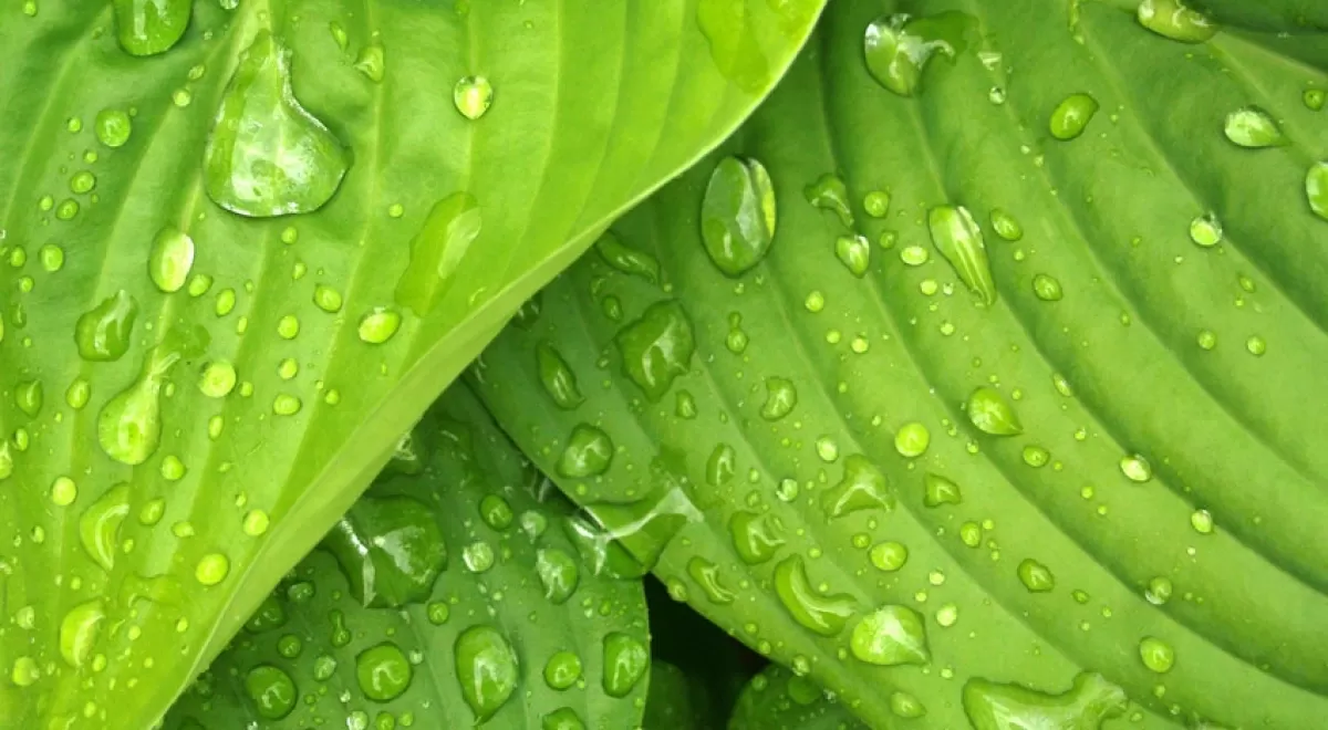 La normativa europea sobre reutilización de aguas podría complicar la exportación de productos agroalimentarios