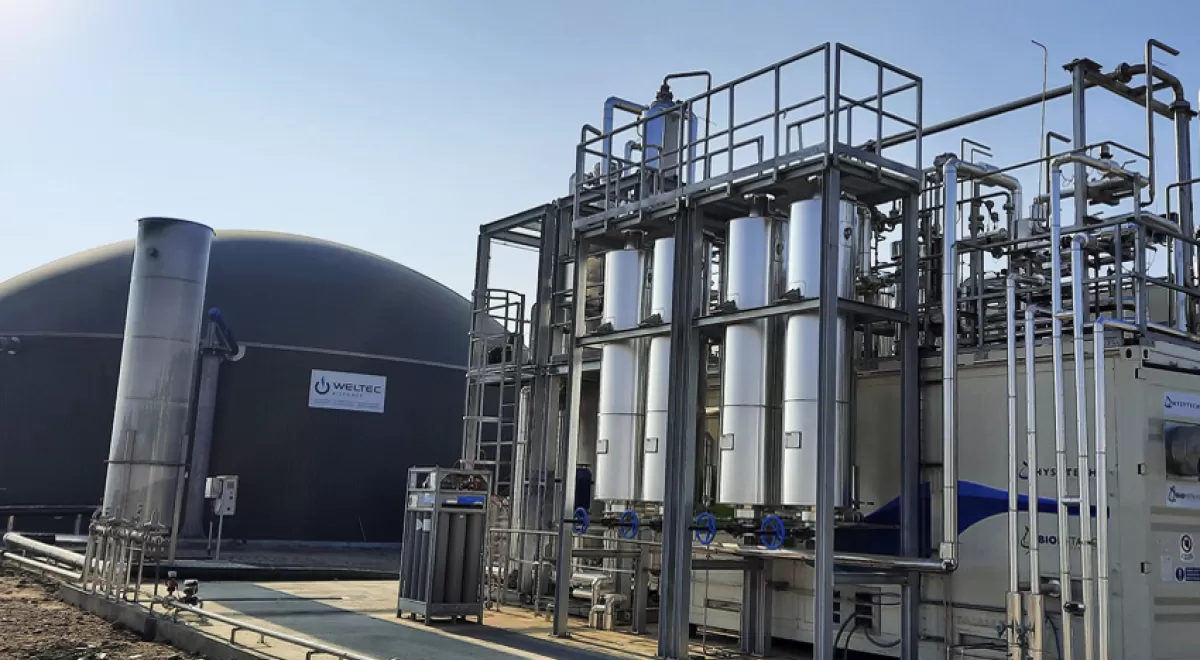 La planta de biometano de la granja Torre Santamaría se conecta a la red de gas