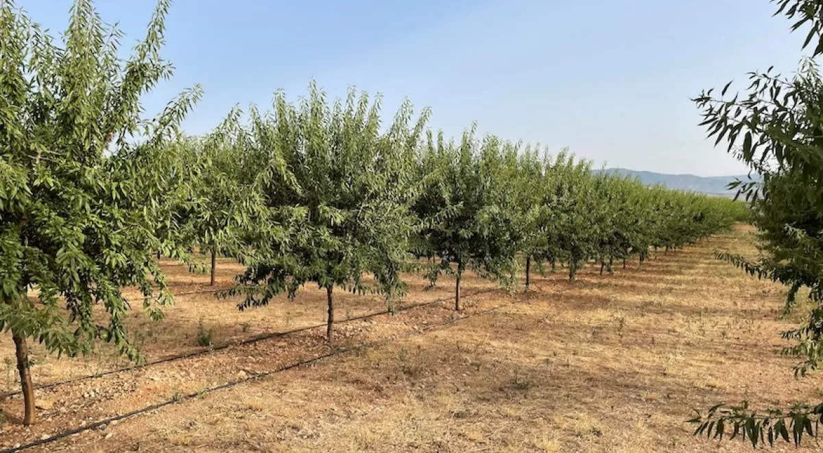 El IICA y Agbar Agriculture se alían para una gestión sostenible del agua en el sector agrícola latinoamericano