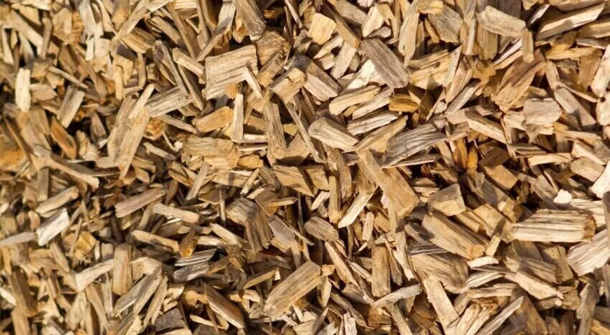 El aprovechamiento energético de la biomasa forestal contribuye a la prevención de incendios