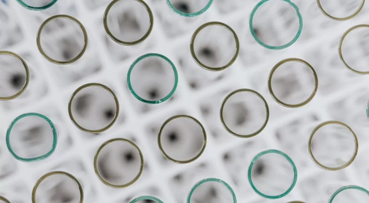 Cepsa Química suministra el primer surfactante renovable y biodegradable