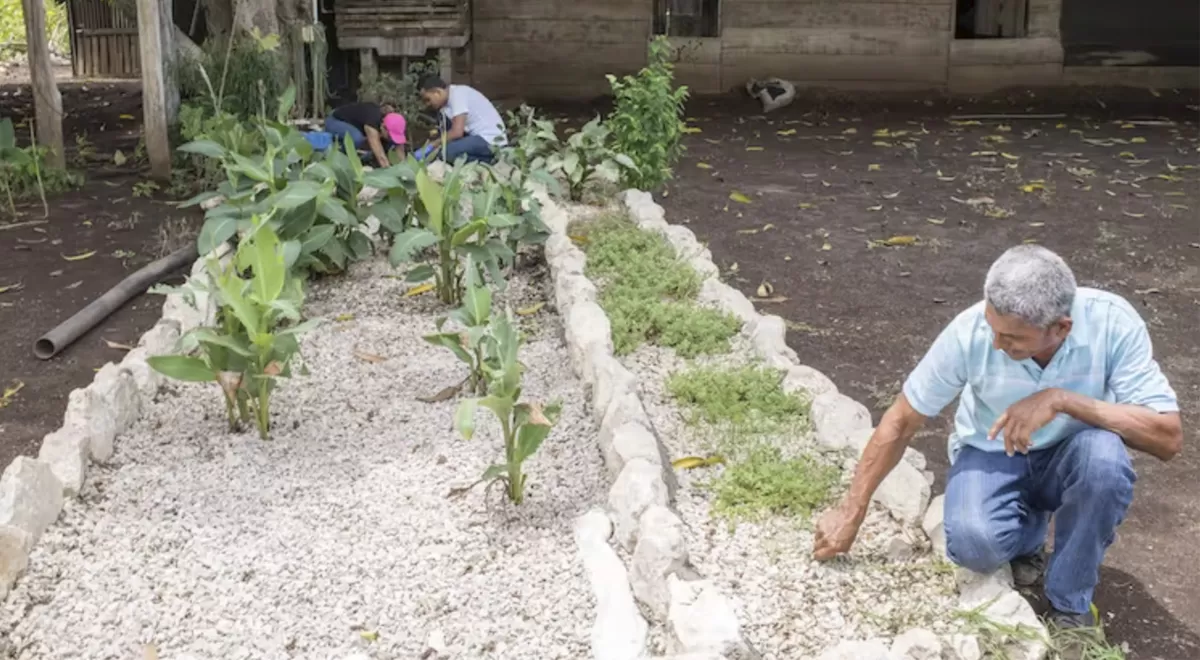 Biojardinera en el distrito de Santa Rita de Nandayure (provincia de Guanacaste, Costa Rica). Guillermo A. Durán / Flickr, CC BY-NC-ND