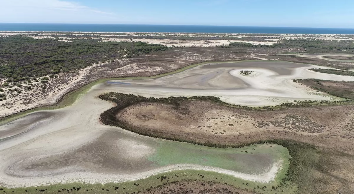 Vista aérea de la laguna de Santa Olalla el 2 de septiembre. Fuente: Banco de imágenes de EBD - CSIC