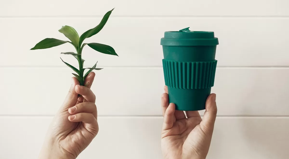 Título del artículo