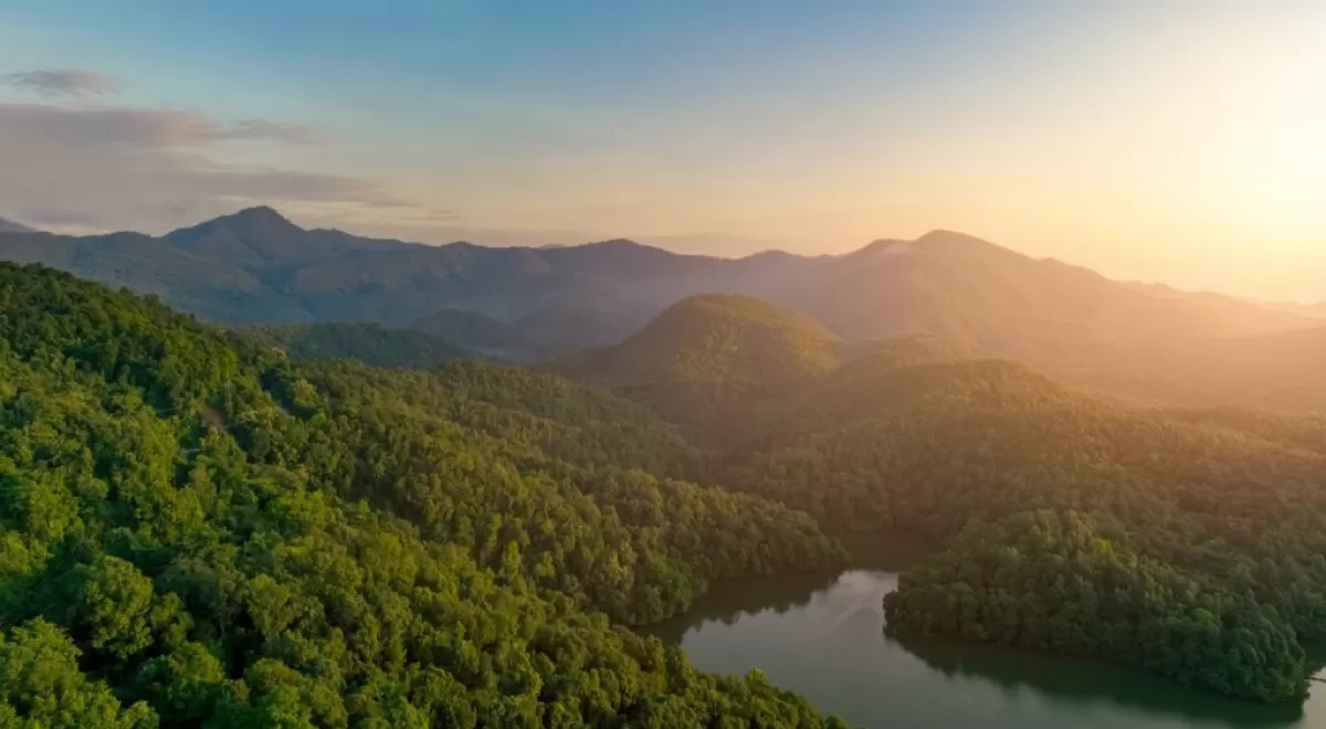 Título del artículo