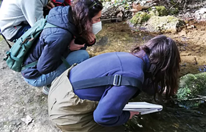 La Agencia Catalana del Agua adjudica el contrato para el control de los macrófitos en los ríos