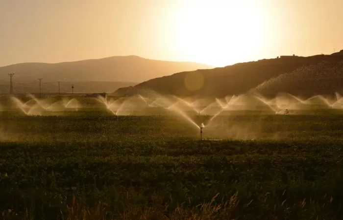 Las políticas europeas no garantizan el uso sostenible del agua en la agricultura
