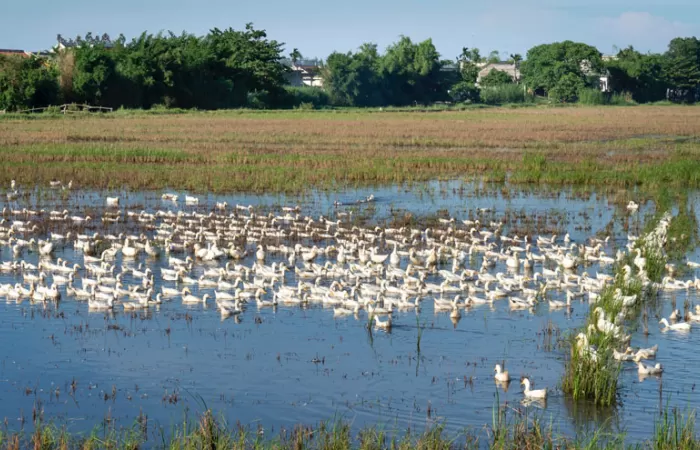 Aguas de Huelva: innovación para la gestión del agua y biodiversidad