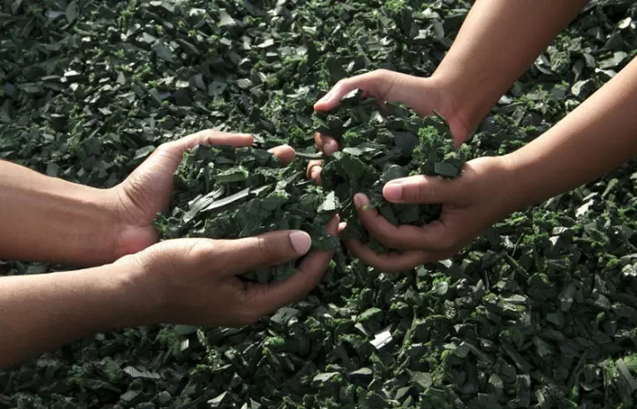 COP 26: el reciclaje es la clave