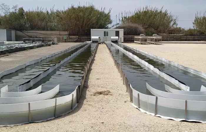 Diseñan un simulador del crecimiento de microalgas para el tratamiento de aguas residuales