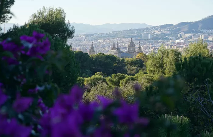 Barcelona, Castellón, Madrid y Alicante, entre las más beneficiadas ambientalmente por el confinamiento