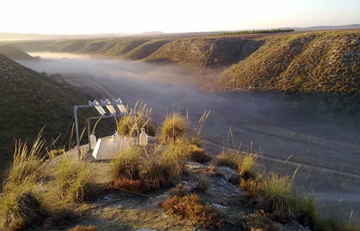 Un estudio internacional advierte que el calentamiento global puede aumentar los patógenos
