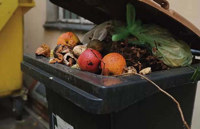 Los retos de los municipios en la gestión de residuos, expuestos en un nuevo informe de Conama