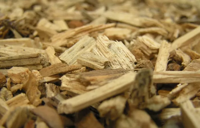 Instalaciones municipales, empresas y hogares muestran el potencial de la biomasa para la transición energética