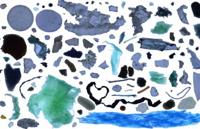 Un nuevo estudio ofrece una radiografía de la composición de la basura marina del planeta