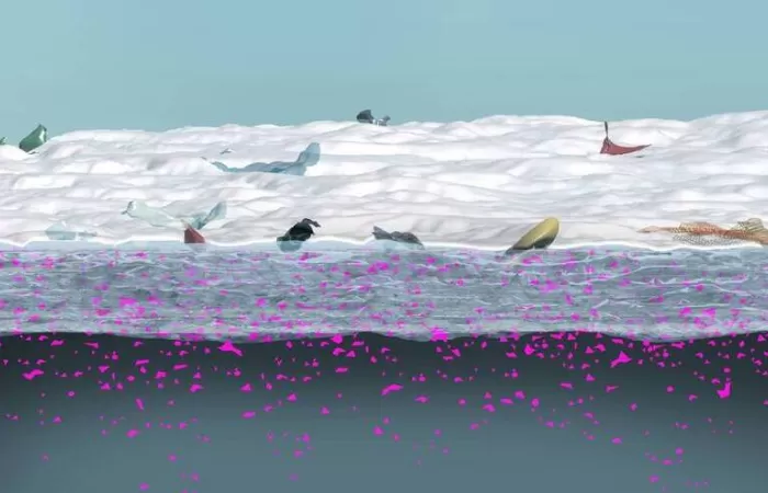 La contaminación plástica es una realidad en el Polo Norte