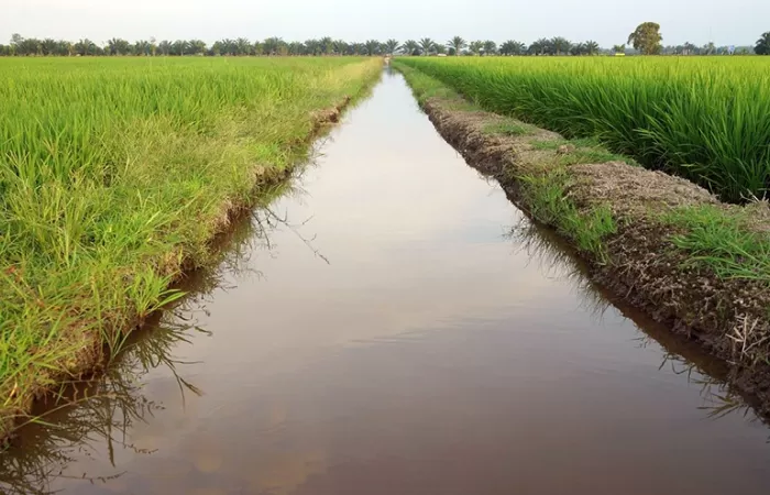 El Parlamento Europeo aprueba el nuevo Reglamento sobre reutilización del agua para agricultura