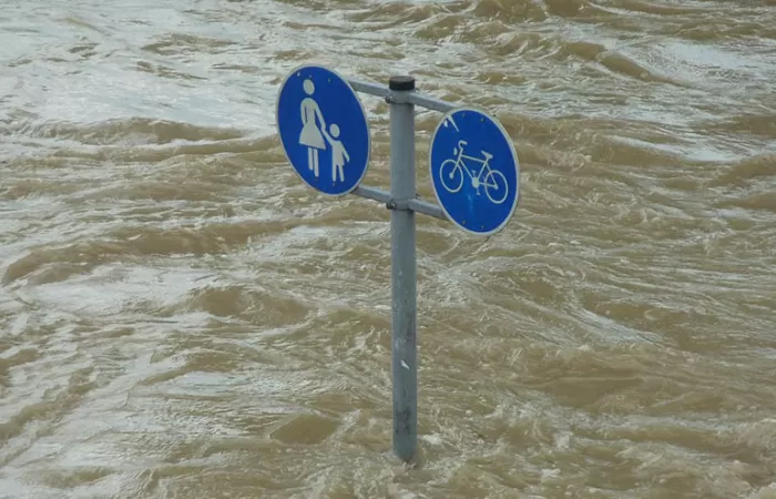 El PNIEC enviado a Bruselas no es suficientemente ambiciosa para la descarbonización, según el IIDMA