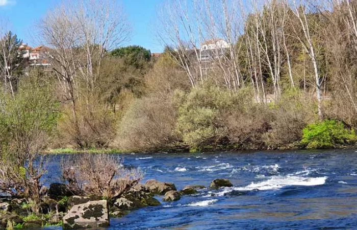 La Confederación del Miño-Sil licita por 2,7 millones las obras de mejora del saneamiento de Velle (Ourense)
