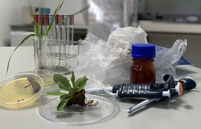 Biocombustibles, bioplásticos y cultivos resistentes a condiciones extremas: las soluciones de los socios de AseBio