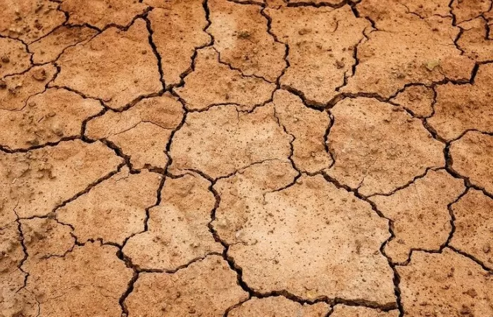 La Junta de Andalucía amplía el decreto de sequía y medidas urgentes