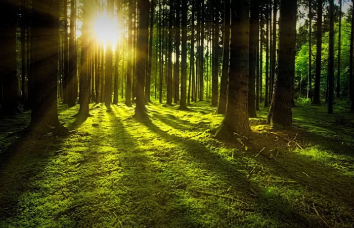 Un nuevo material abre la posibilidad de producción de combustibles solares