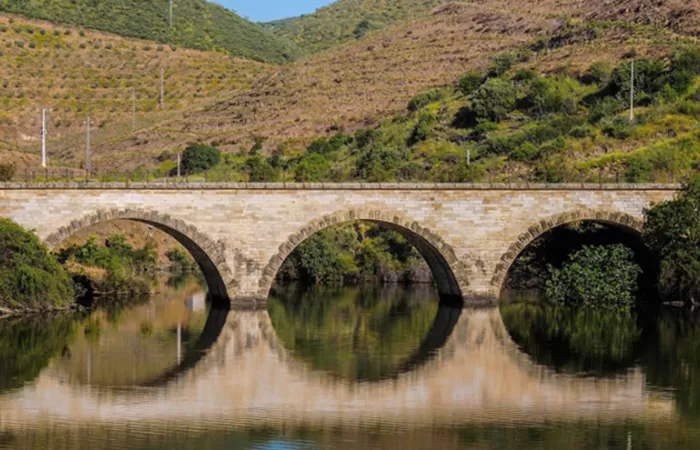 IIAMA desarrolla una metodología para evaluar el impacto de los caudales ecológicos