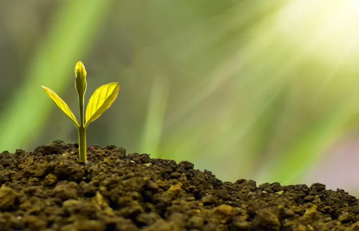 En 2019 el Valor Añadido Bruto de la economía ambiental representó el 2,11 % del PIB