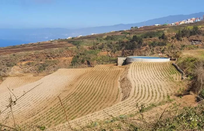 El Gobierno de Canarias lucha contra la degradación de los suelos de las islas