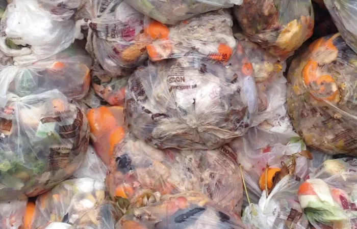 La ciudad de Madrid amplía la recogida de materia orgánica en cinco distritos