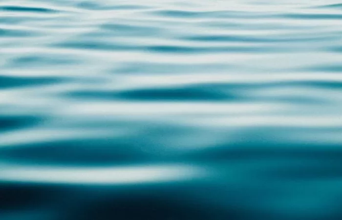 La Cátedra de Aguas de Huelva avanza en la consecución de los ODS