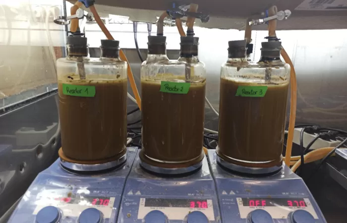 Nueva técnica para obtención de biogás mediante bacterias
