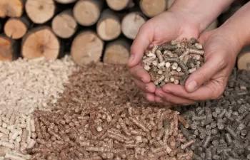 CIRCE organiza una jornada para analizar las oportunidades de la agro-biomasa en Aragón