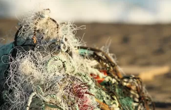 Satlink contribuye a la recolección de 100 toneladas de redes de pesca para su reciclaje