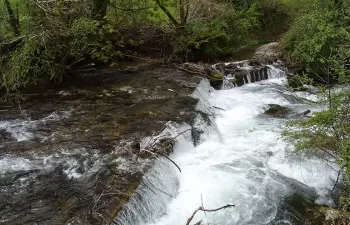 Comienzan las actuaciones para recuperar las reservas naturales fluviales en la cuenca del Cantábrico
