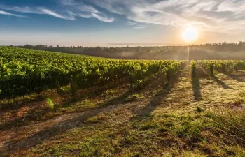 Navarra acoge el primer proyecto para una estrategia de adaptación al cambio climático en una región