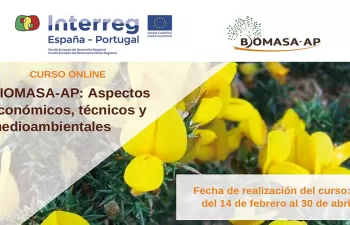 El proyecto Biomasa-AP forma a profesionales del sector sobre la biomasa como recurso energético del futuro