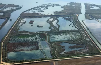 València acogerá una conferencia internacional sobre sistemas de humedales construidos