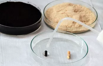 Desarrollan nuevos combustibles de biomasa para una calefacción menos contaminante