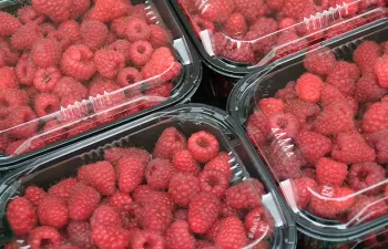 Crean un embalaje biodegradable para evitar el uso de plástico en el ámbito de la alimentación