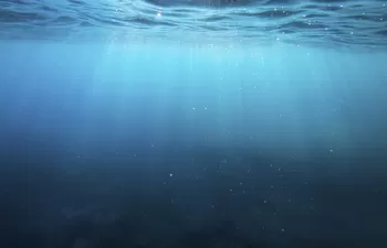 Evalúan el impacto ambiental de los microplásticos y su interacción con contaminantes emergentes