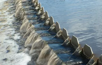 El LEQUIA participa en seis proyectos europeos de I+D+i y acoge tres ayudas postdoctorales Marie Curie