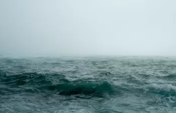 Cinco artículos sobre cambio climático que debes leer